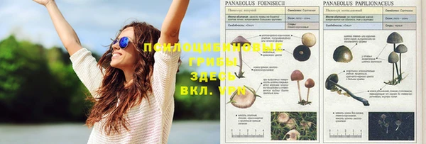 прущие крисы Кукмор