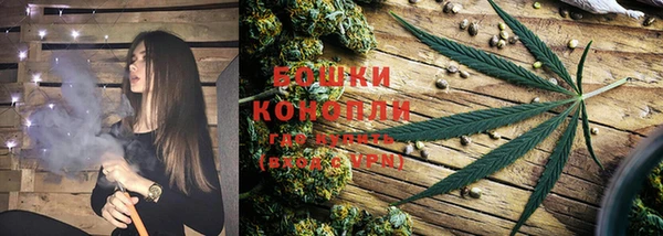 гидра Пенза