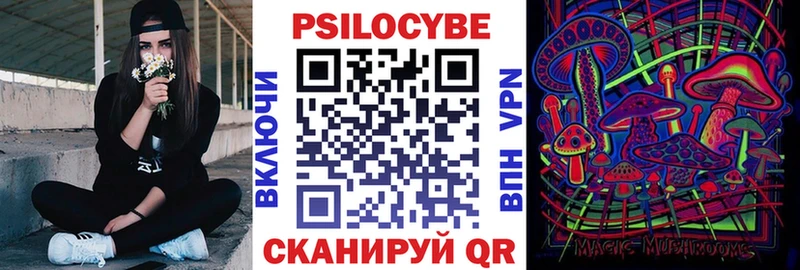 Псилоцибиновые грибы мухоморы  продажа наркотиков  hydra ссылка  Элиста 