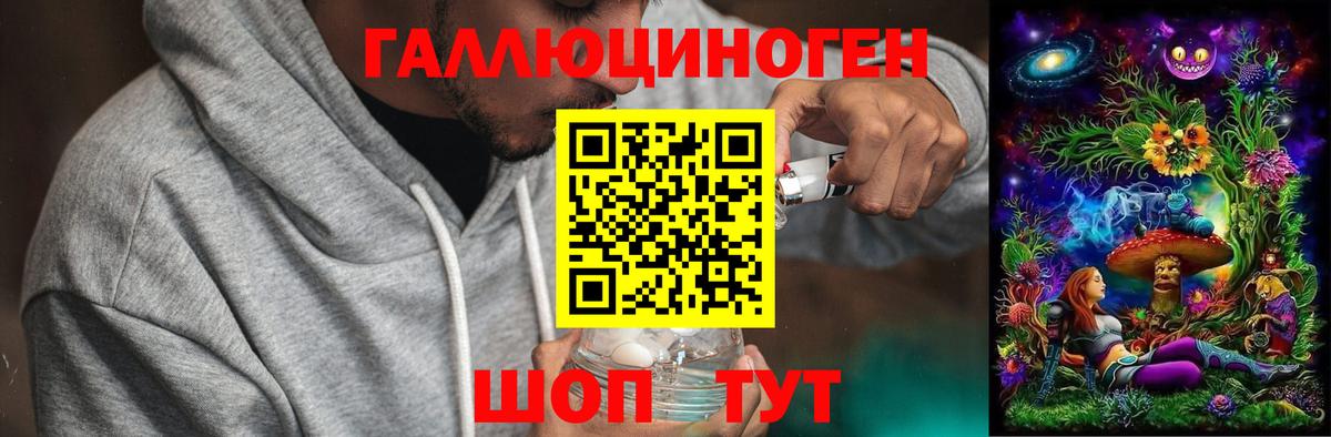 Галлюциногенные грибы GOLDEN TEACHER  Вход с VPN  Элиста 